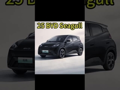 চীনা ইভি গাড়ি