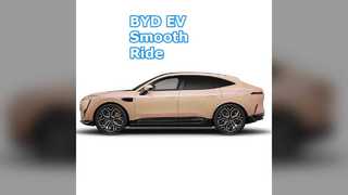 BYD EV গাড়ি 3020mm হুইলবেস L2 অ্যাসিস্ট 18in টায়ার